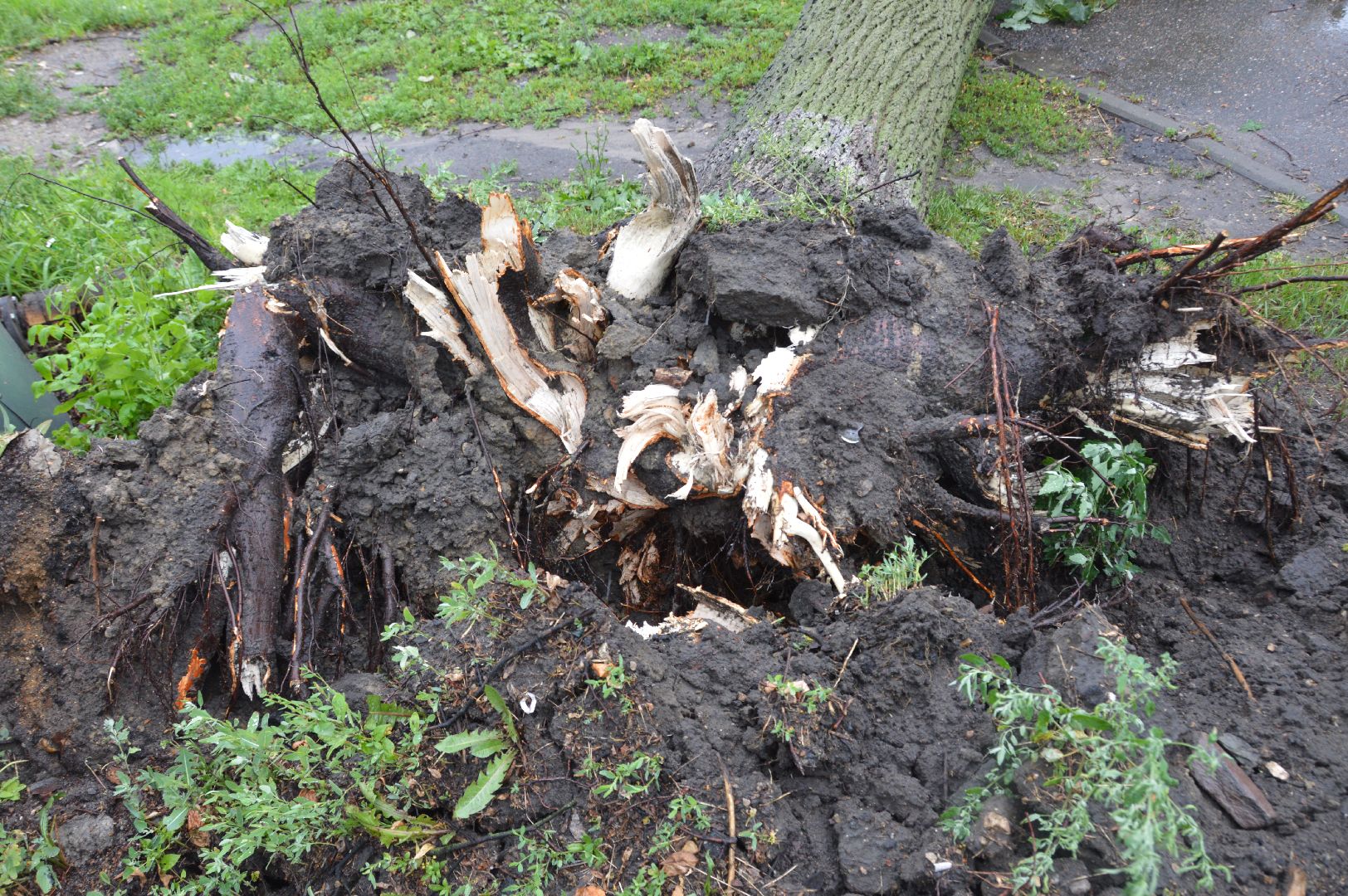 ЧП, шатура, тропический ливень, погода,