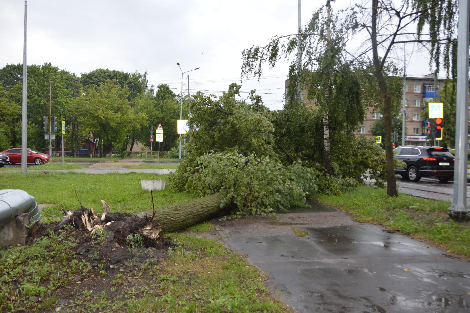 ЧП, шатура, тропический ливень, погода,