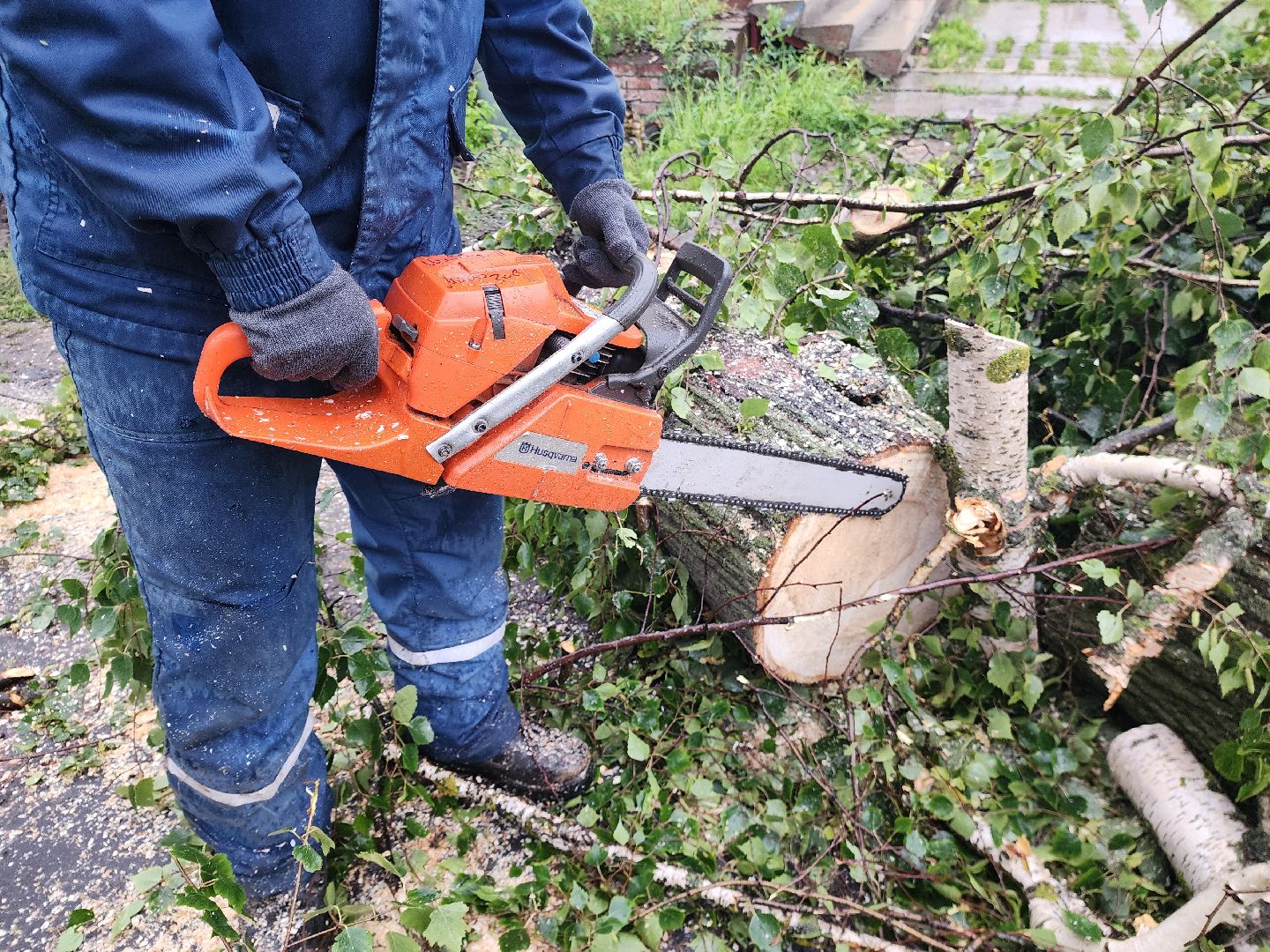 ЧП, шатура, тропический ливень, погода,