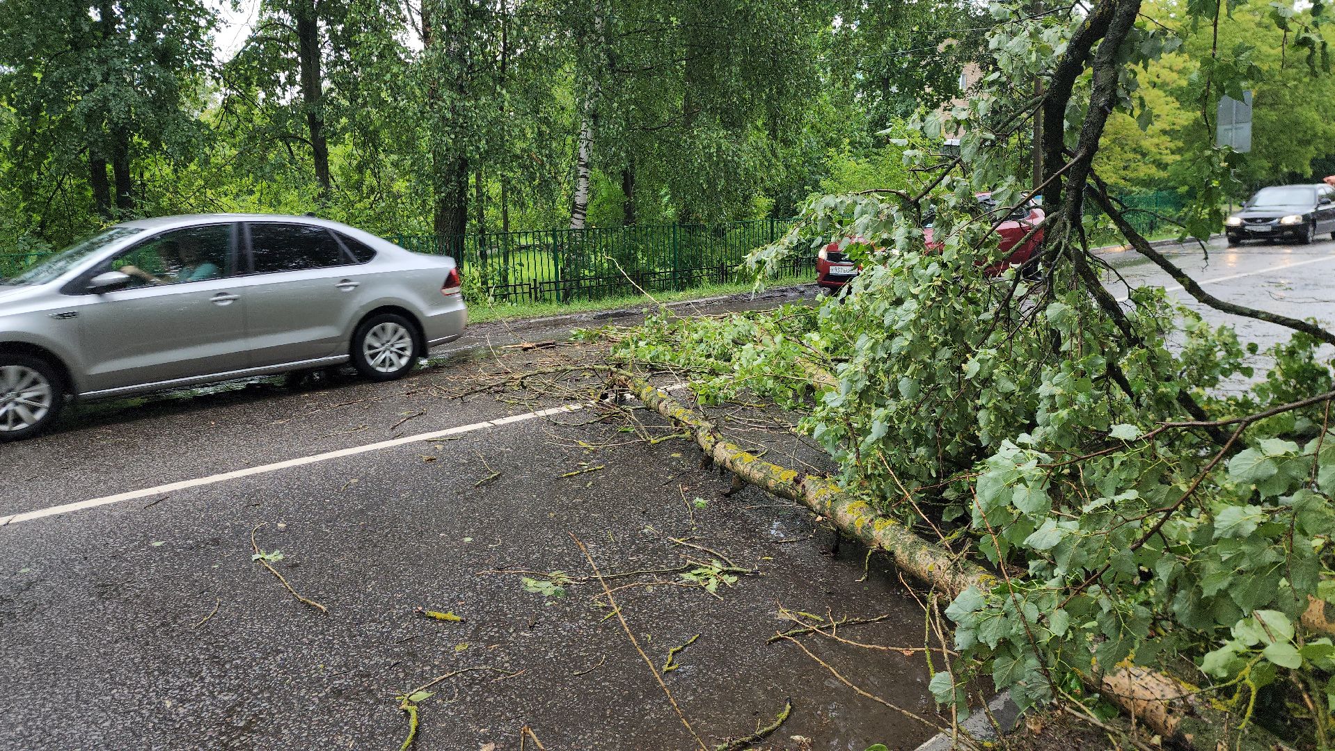 ЧП, шатура, тропический ливень, погода,