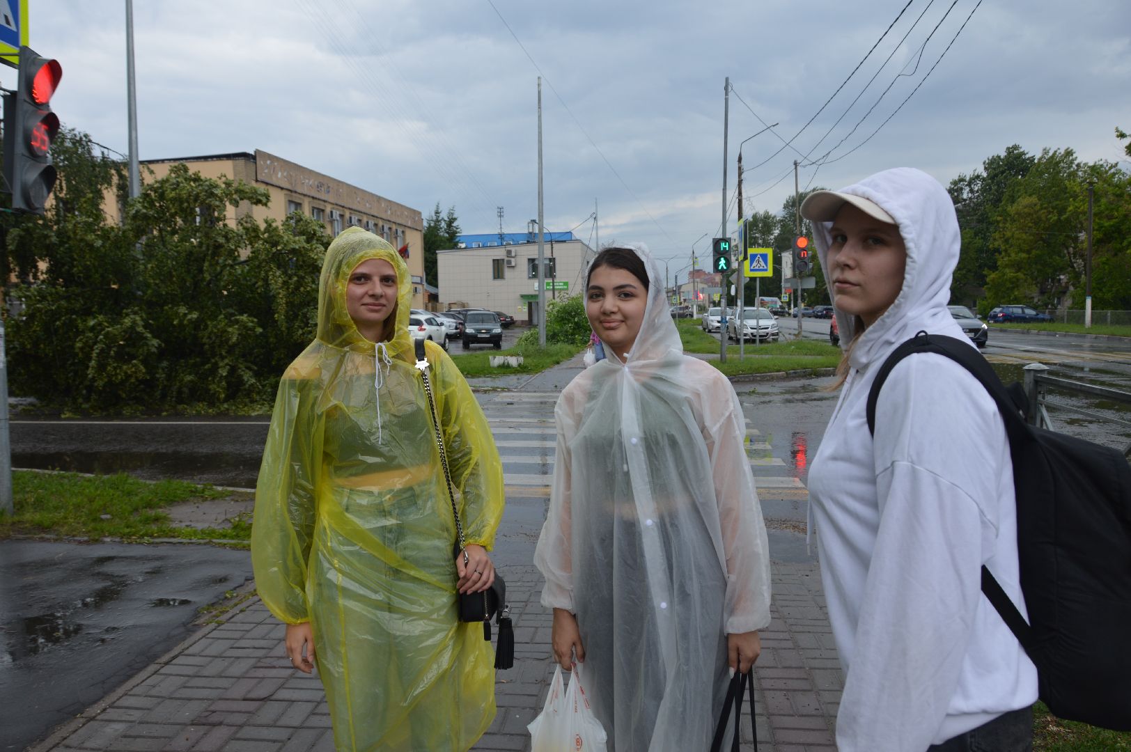 ЧП, шатура, тропический ливень, погода,