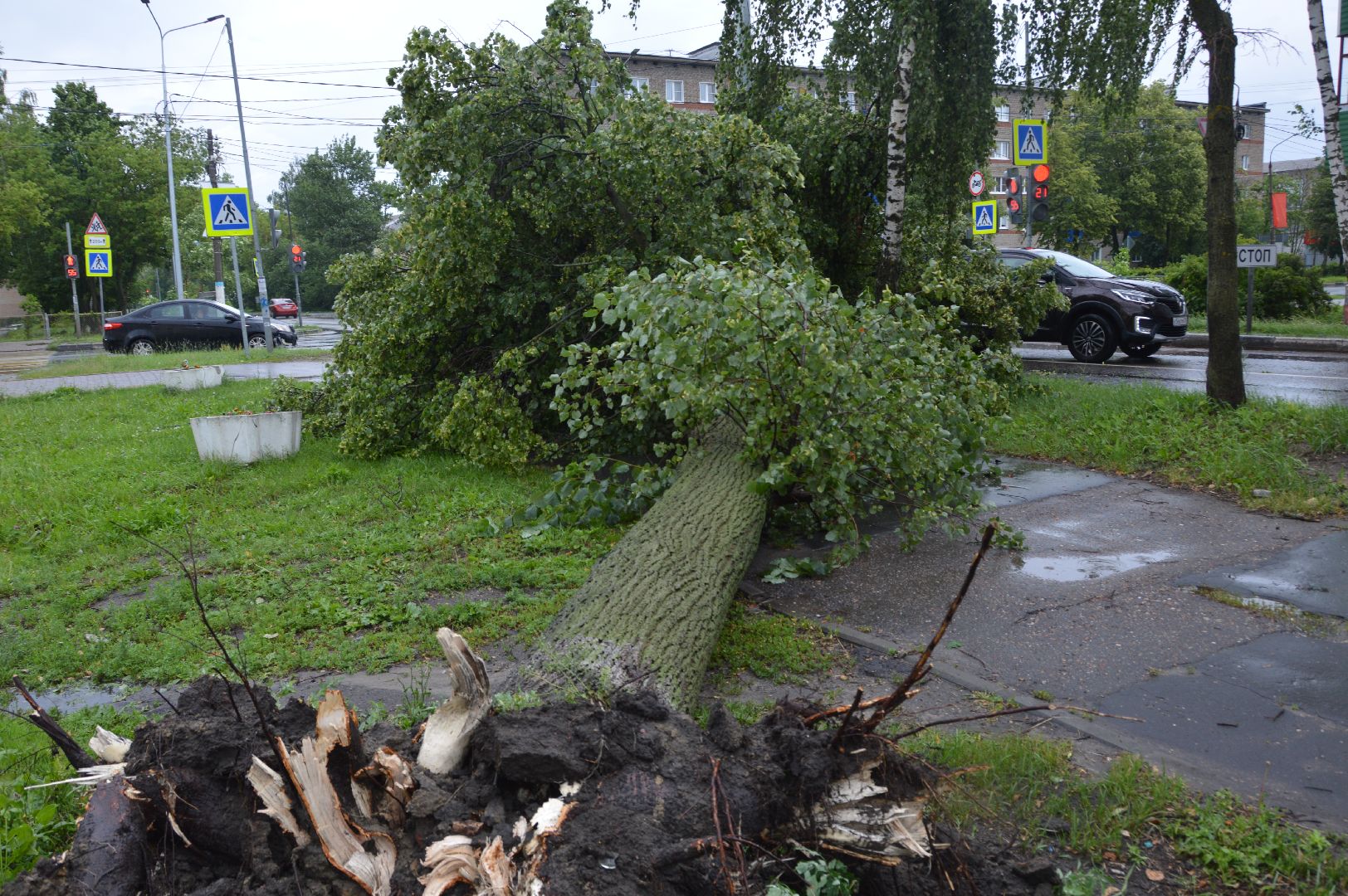 ЧП, шатура, тропический ливень, погода,