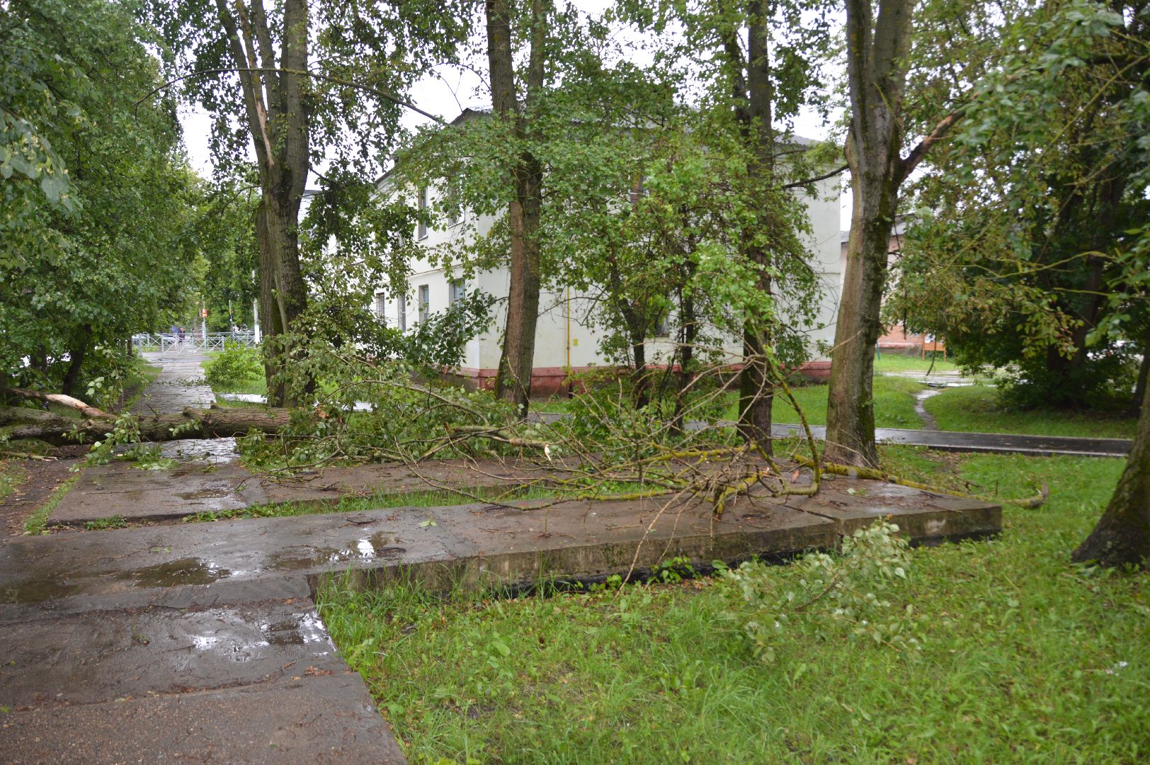 ЧП, шатура, тропический ливень, погода,