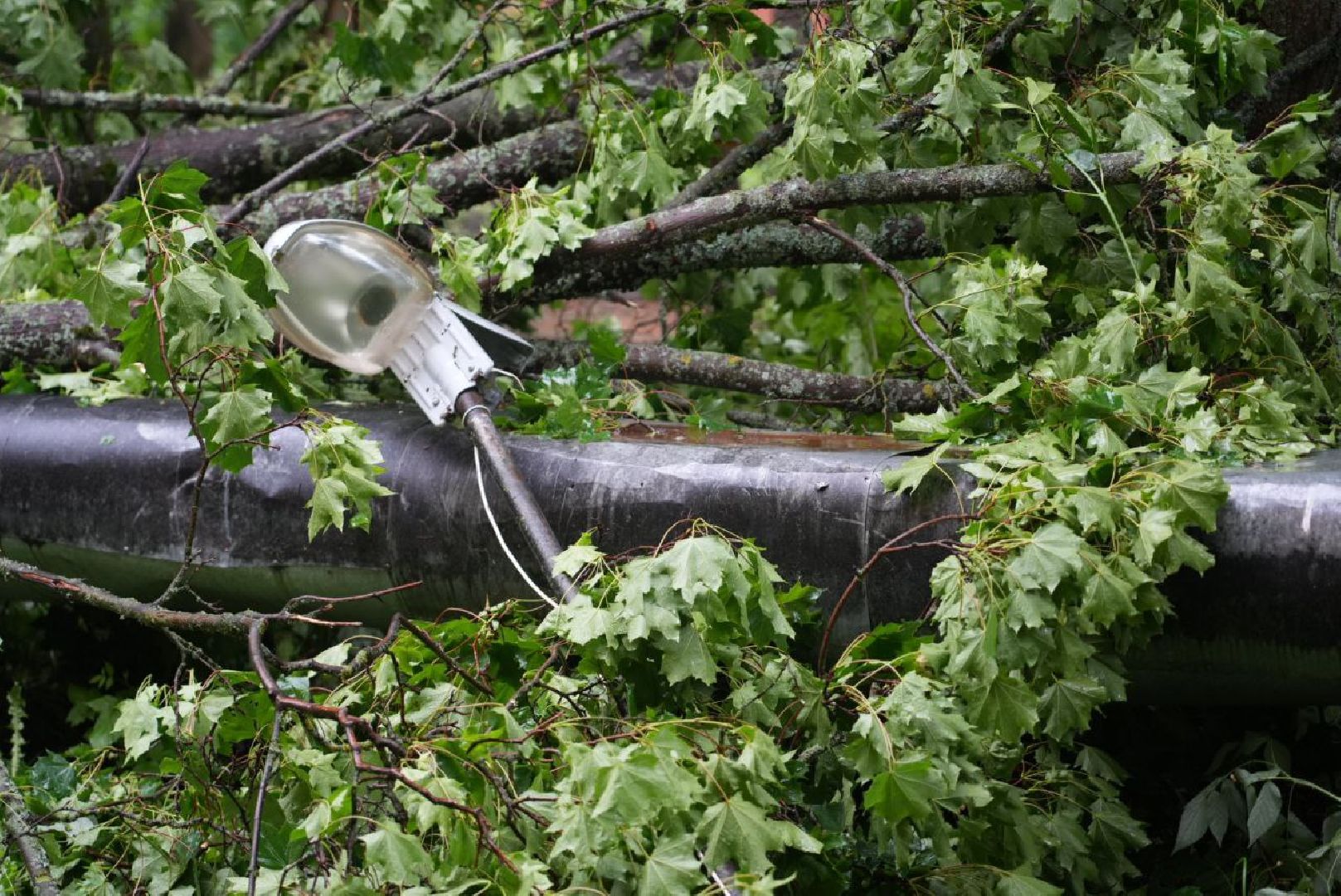 Непогода, Стихия, Мегаливень,