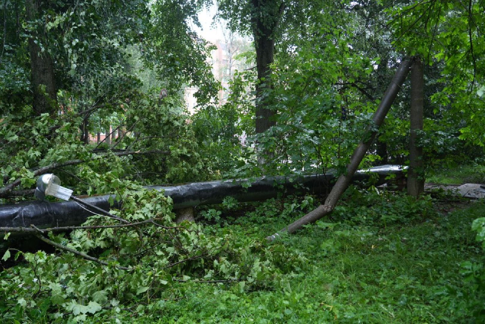 Непогода, Стихия, Мегаливень,