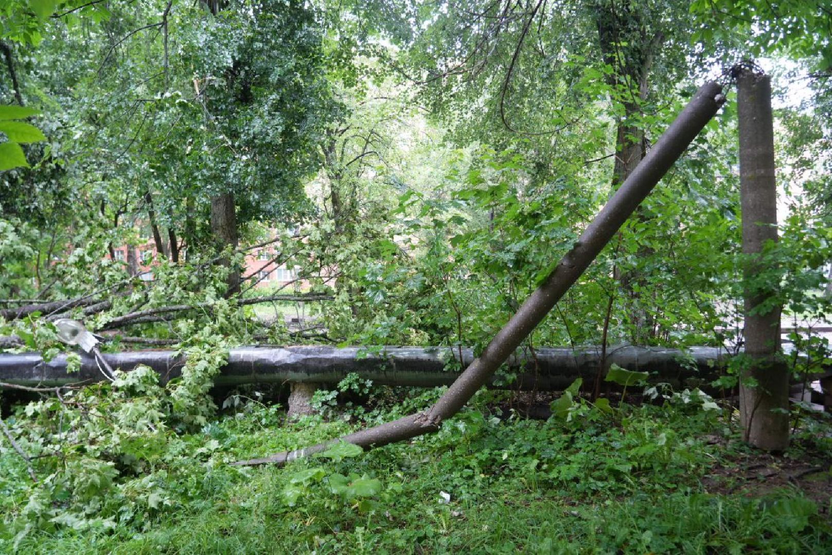 Непогода, Стихия, Мегаливень,