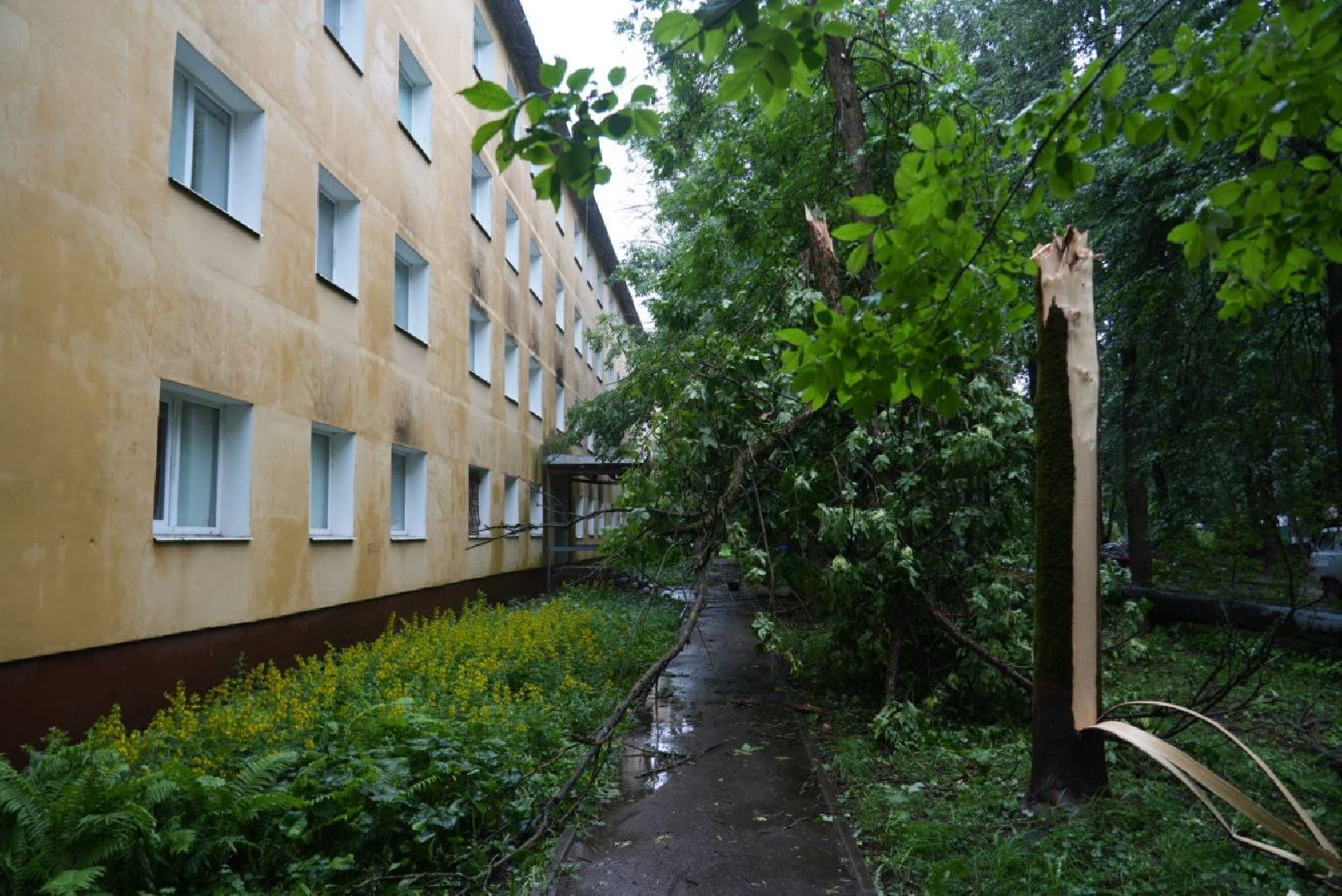 Непогода, Стихия, Мегаливень,