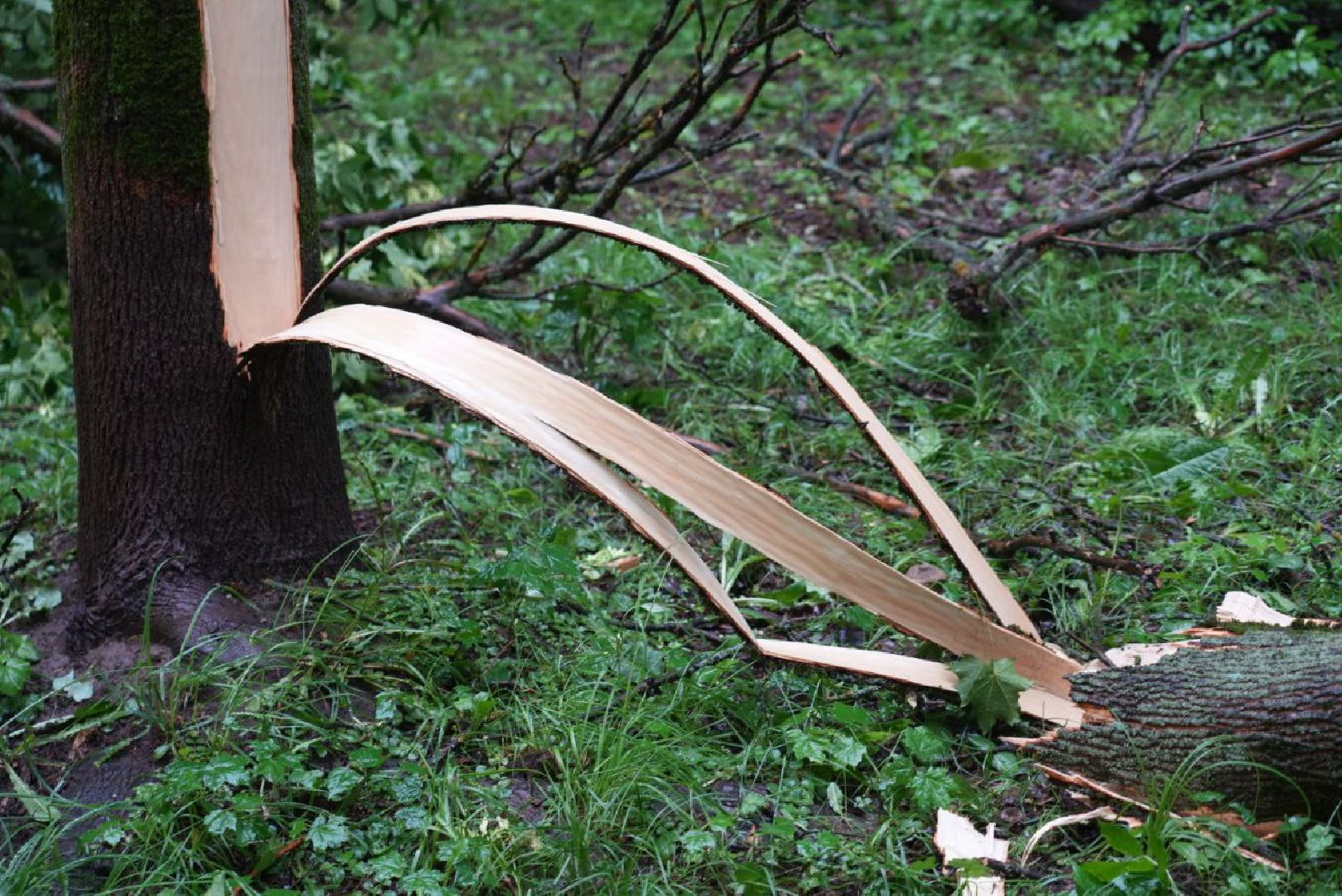 Непогода, Стихия, Мегаливень,