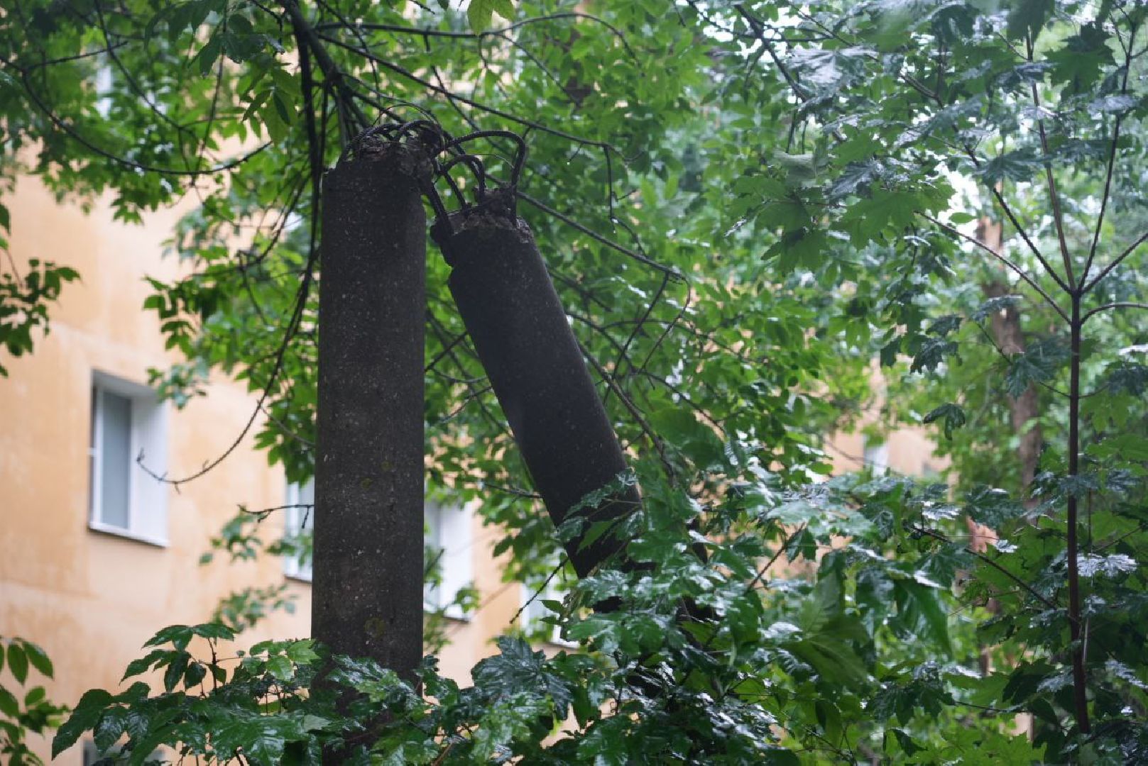 Непогода, Стихия, Мегаливень,