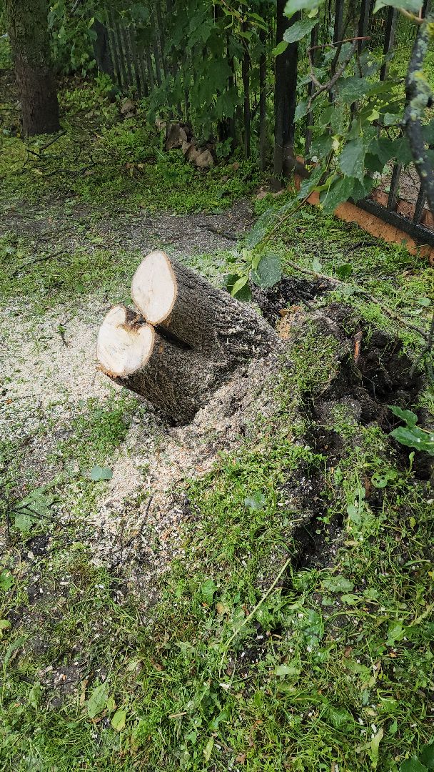 ураган, красногорск, чернево, падение деревьев, ливень,