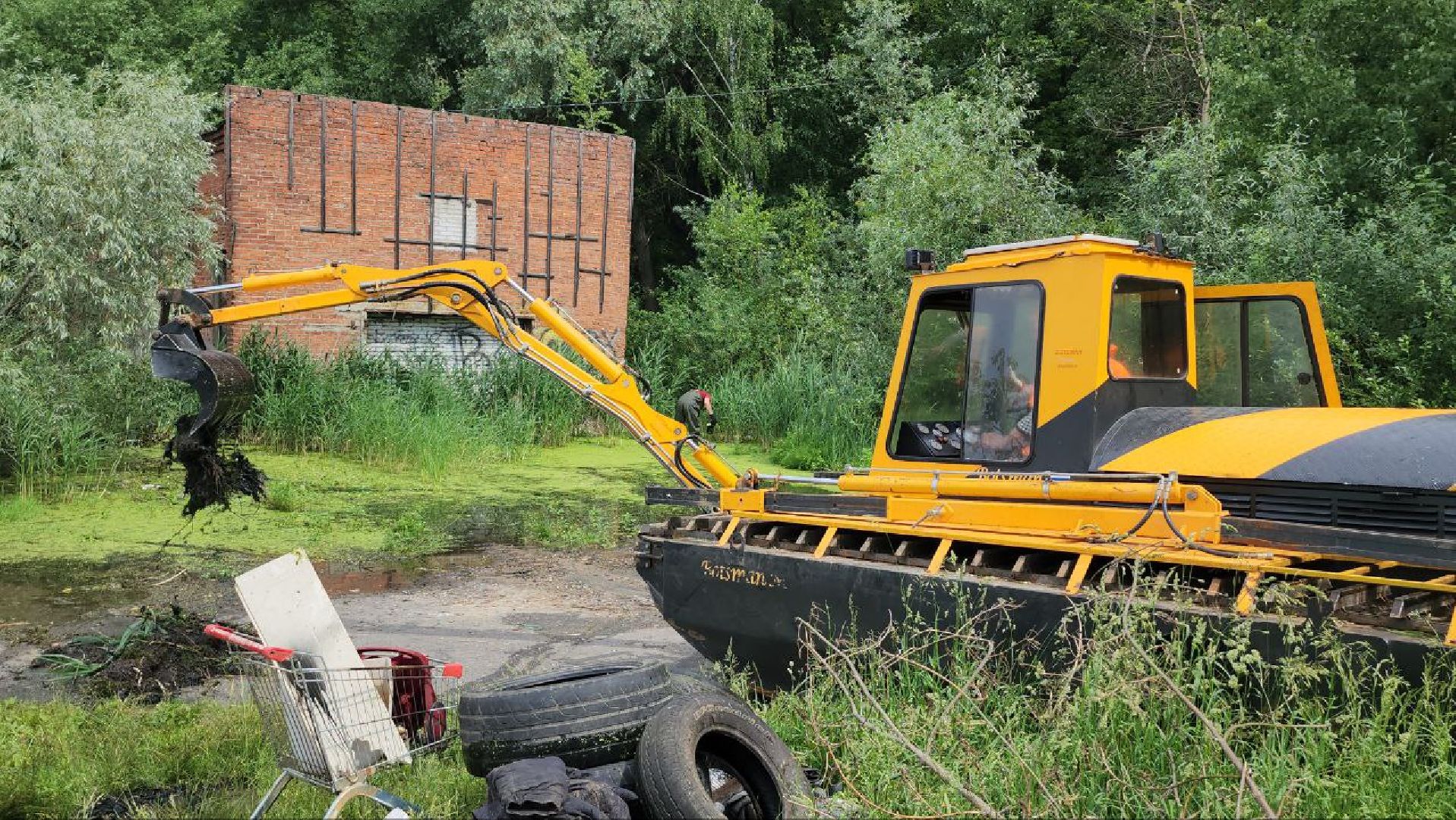 люберцы, охрана окружающей среды, расчистка, уборка, береговая линия,