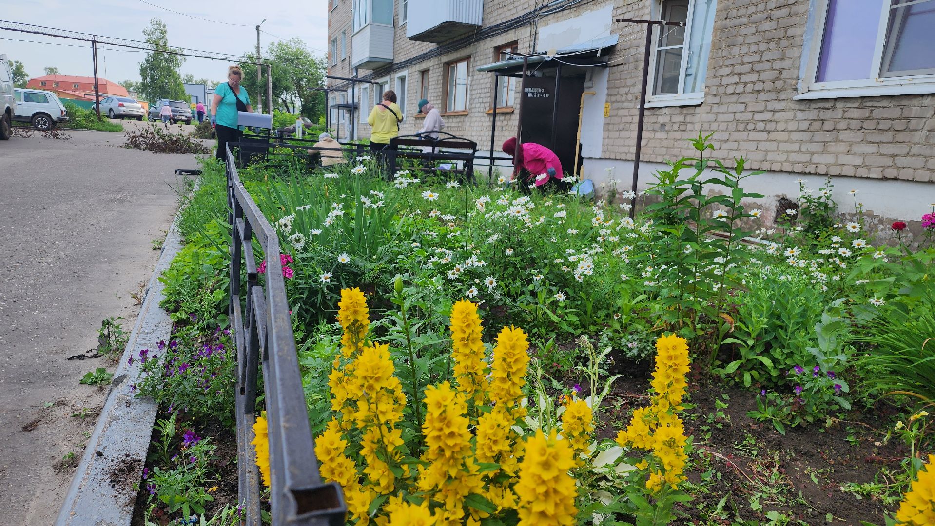Большая Шатура, Рошаль, план добрых дел, благоустройство,