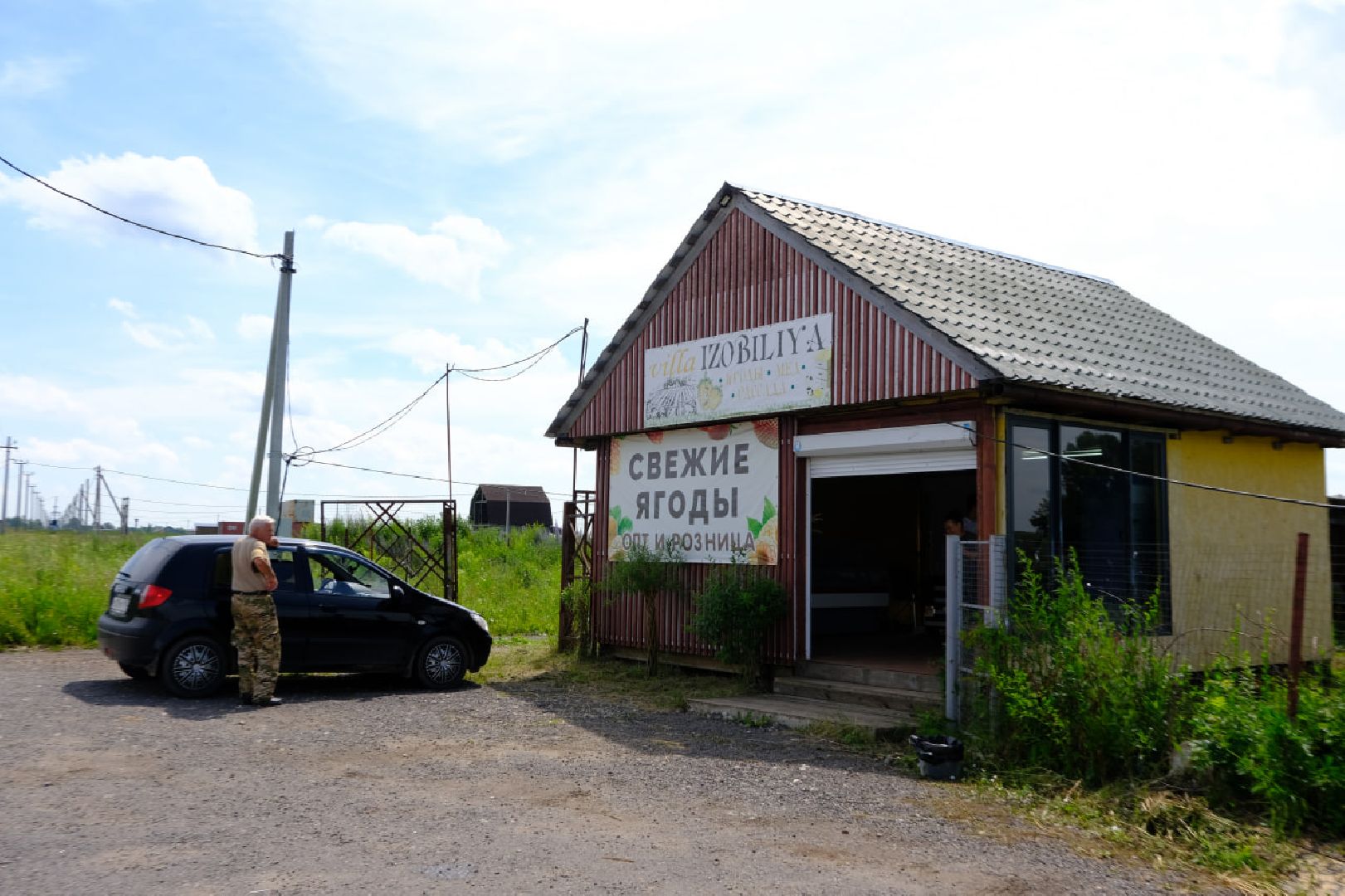 серпухов, пущино, сельское хозяйство, ягодная ферма,