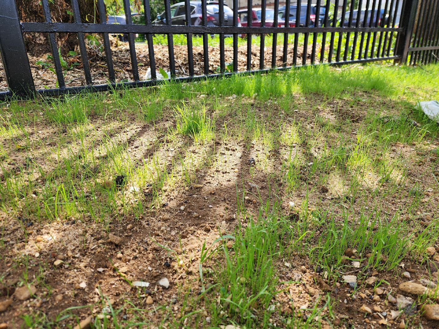 школа, ремонт, строительство, центр образования, ремонт школы, ногинск,