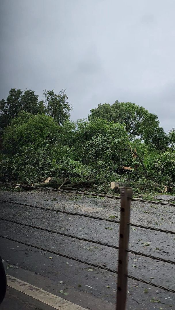 одинцово, кубинка, маоые вяземы, дождь, ураган, буря, авария,