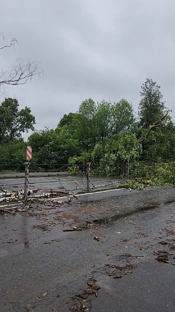 одинцово, кубинка, маоые вяземы, дождь, ураган, буря, авария,