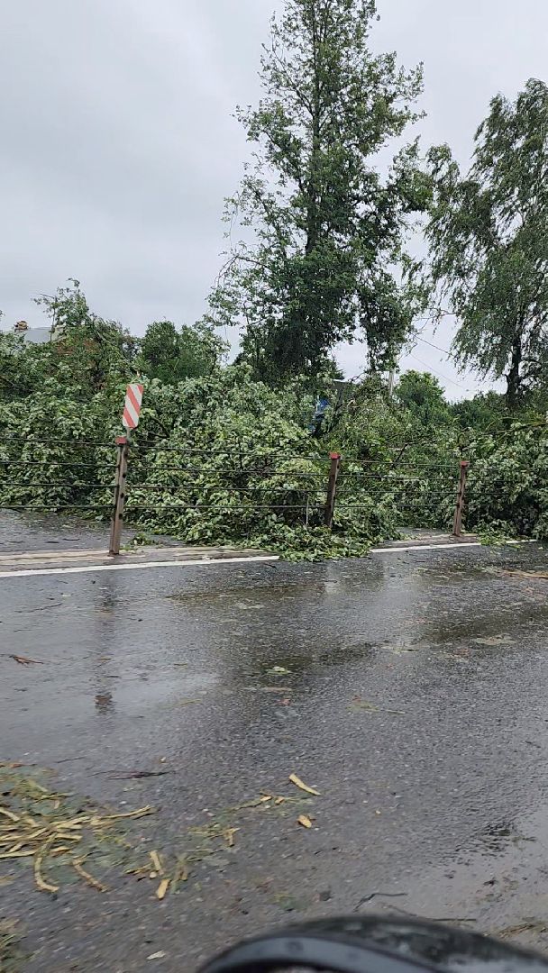 одинцово, кубинка, маоые вяземы, дождь, ураган, буря, авария,