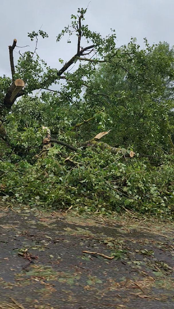 одинцово, кубинка, маоые вяземы, дождь, ураган, буря, авария,