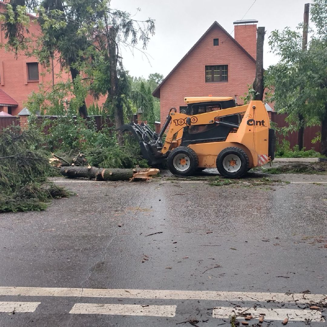 пушкино, ураган, последствия непогоды, последствия стихии, деревья,
