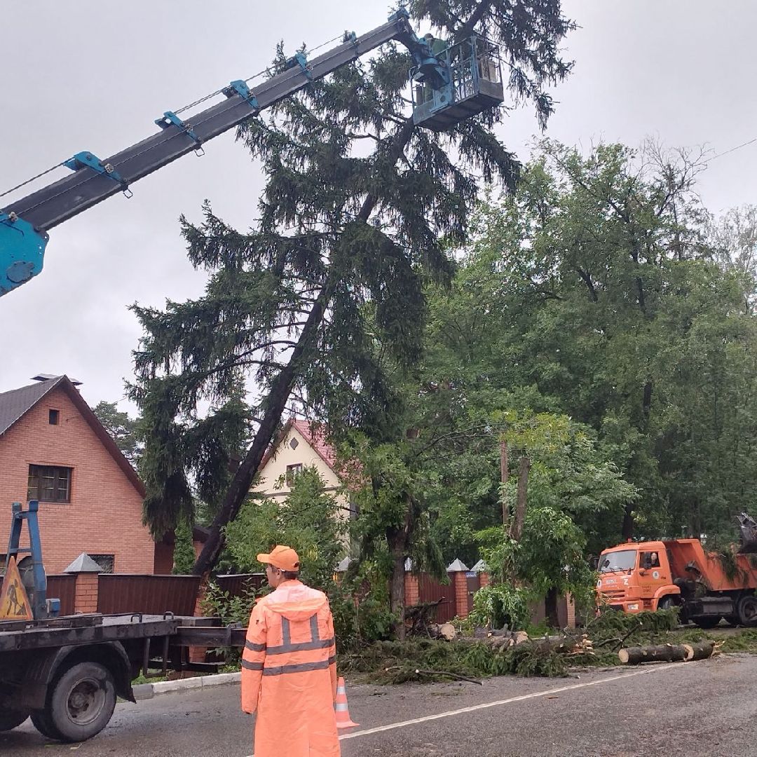 пушкино, ураган, последствия непогоды, последствия стихии, деревья,