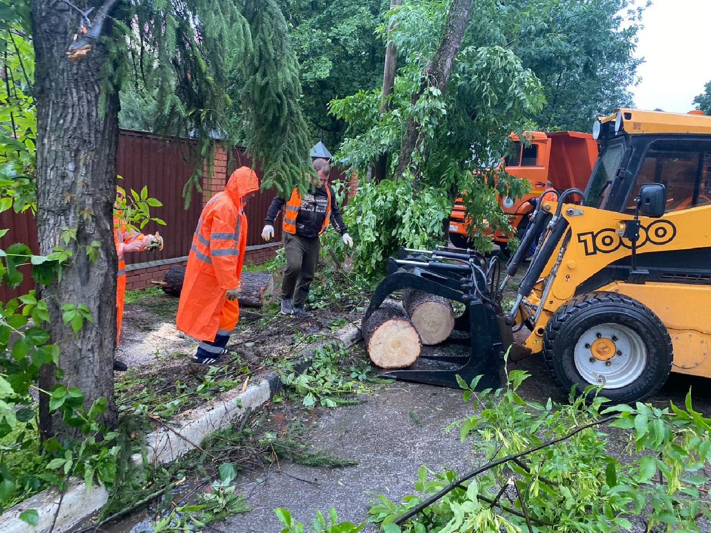 пушкино, ураган, последствия непогоды, последствия стихии, деревья,