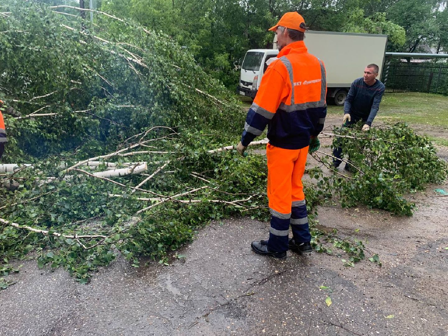 пушкино, ураган, последствия непогоды, последствия стихии, деревья,
