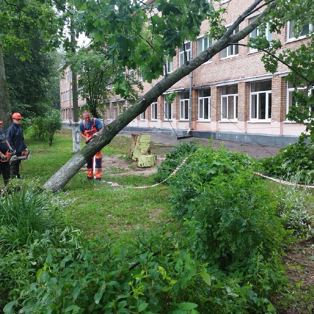 пушкино, ураган, последствия непогоды, последствия стихии, деревья,