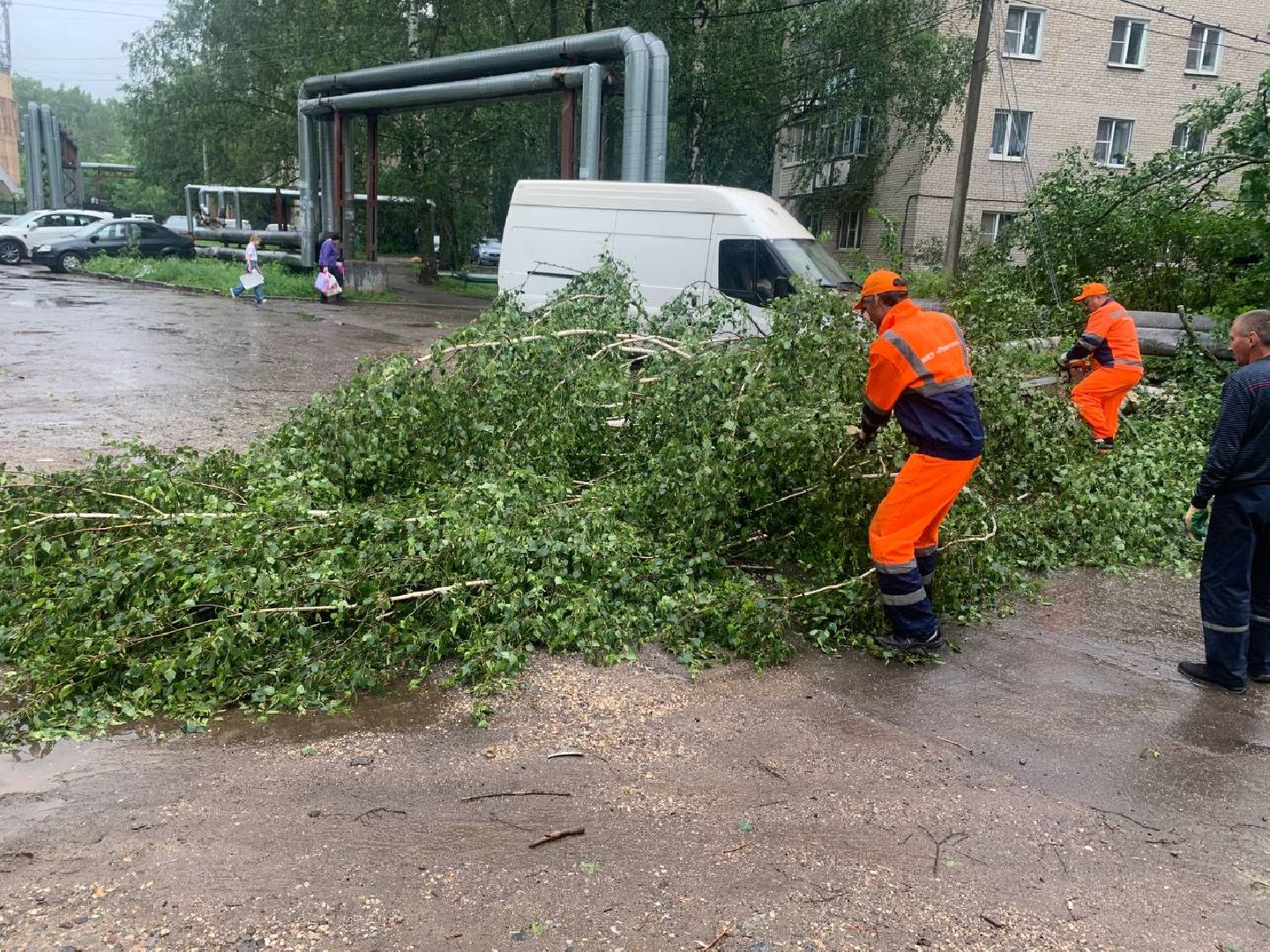 пушкино, ураган, последствия непогоды, последствия стихии, деревья,