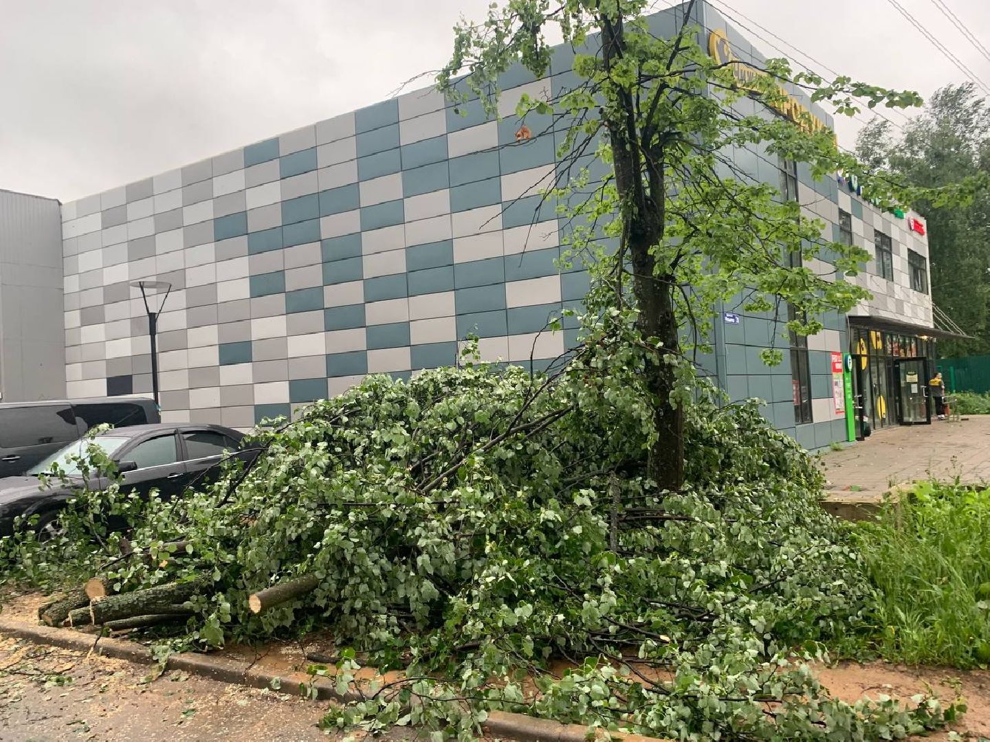 пушкино, ураган, последствия непогоды, последствия стихии, деревья,