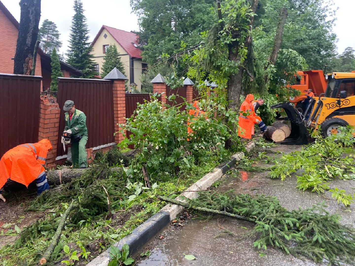 пушкино, ураган, последствия непогоды, последствия стихии, деревья,