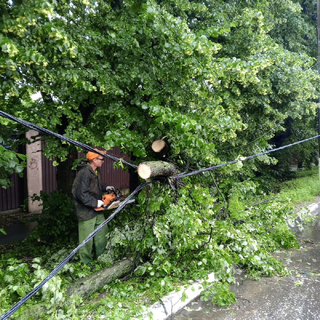 пушкино, ураган, последствия непогоды, последствия стихии, деревья,