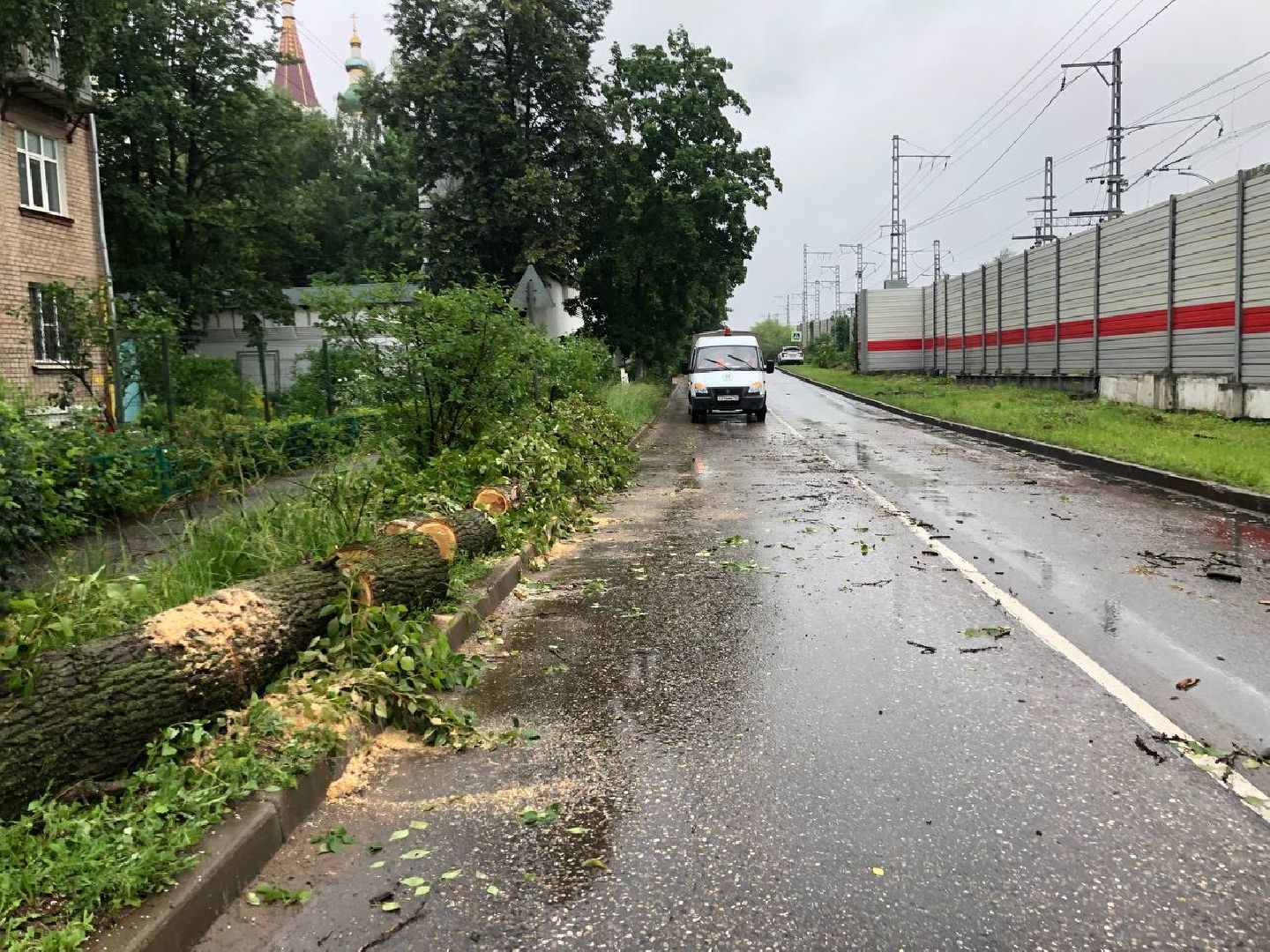 пушкино, ураган, последствия непогоды, последствия стихии, деревья,