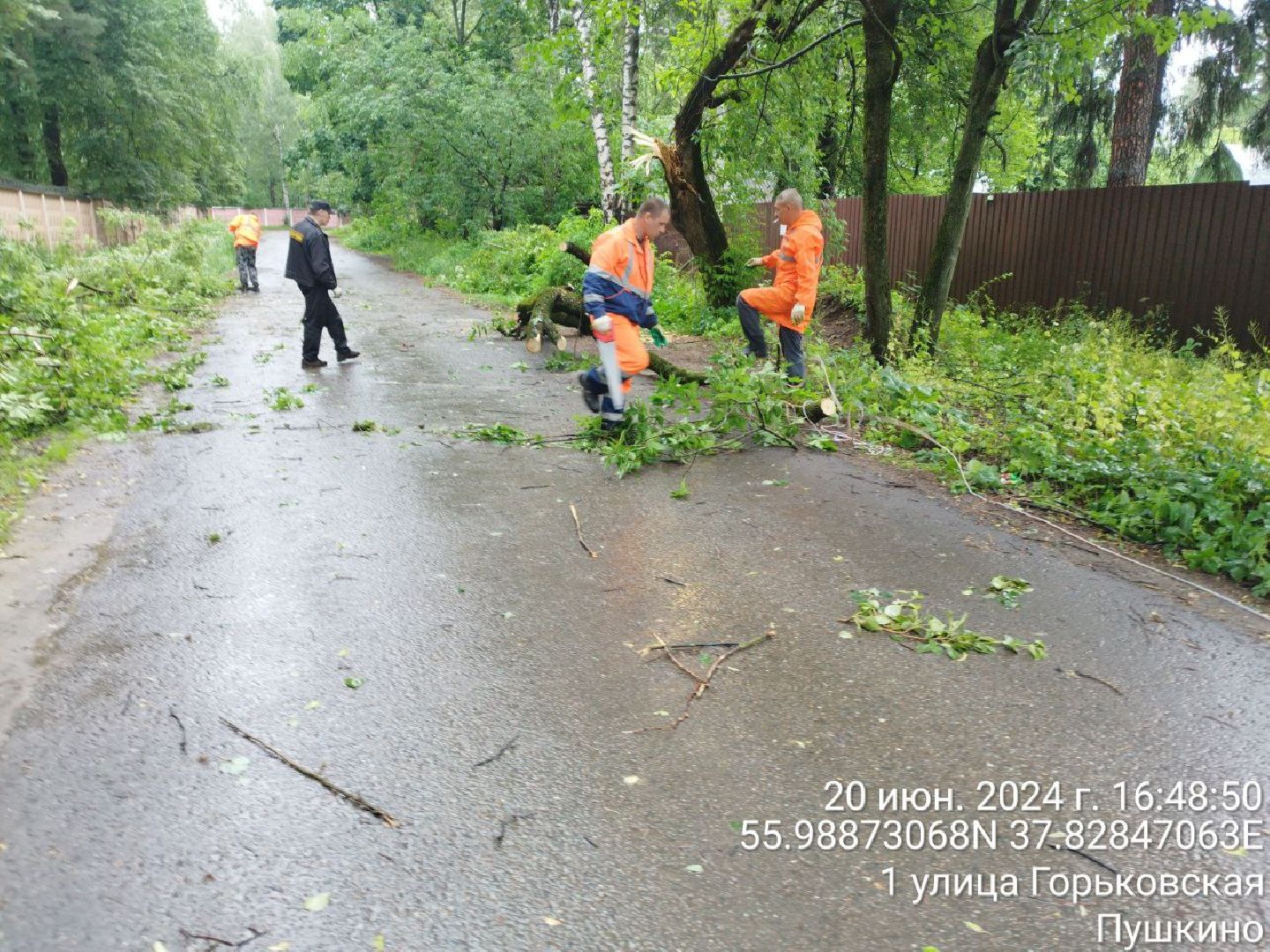 пушкино, ураган, последствия непогоды, последствия стихии, деревья,