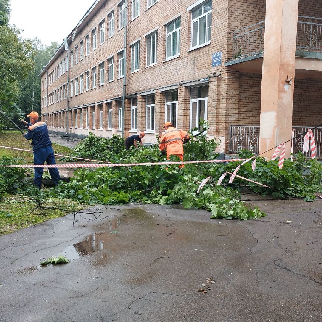 пушкино, ураган, последствия непогоды, последствия стихии, деревья,