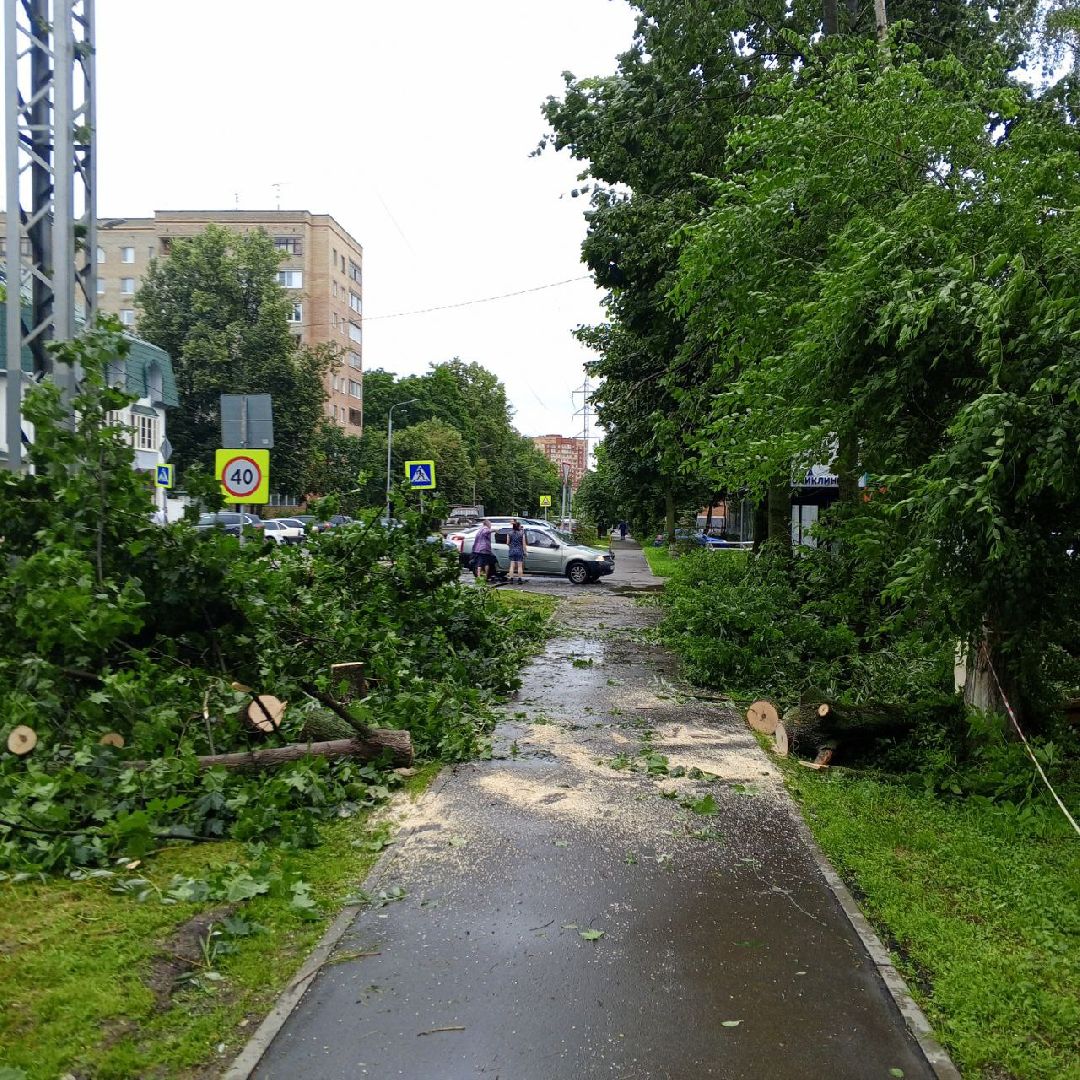 пушкино, ураган, последствия непогоды, последствия стихии, деревья,