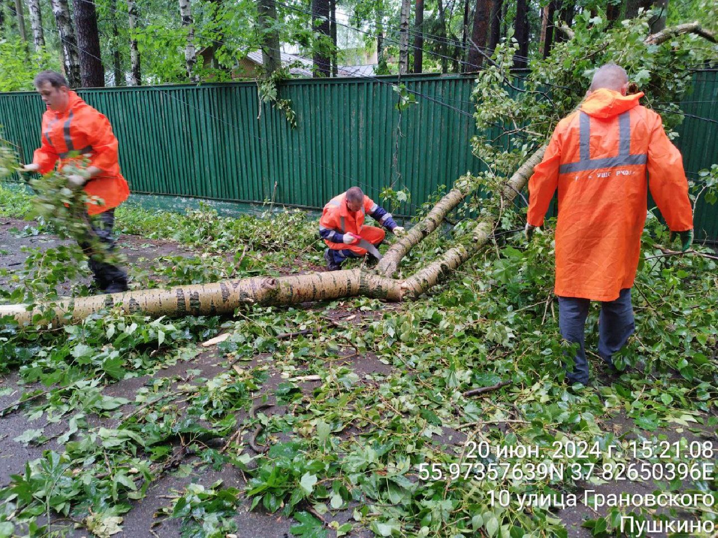 пушкино, ураган, последствия непогоды, последствия стихии, деревья,