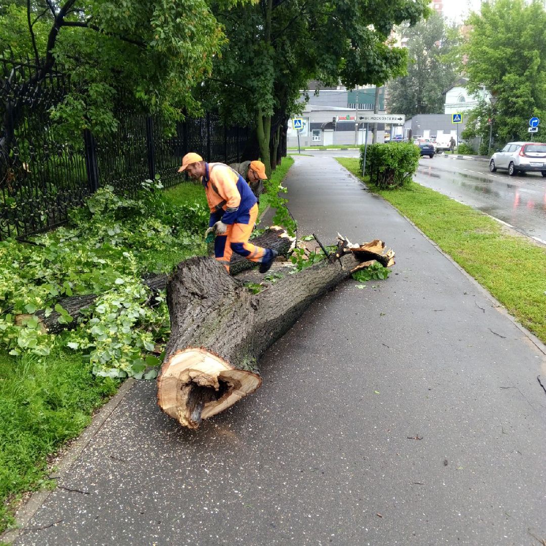 пушкино, ураган, последствия непогоды, последствия стихии, деревья,
