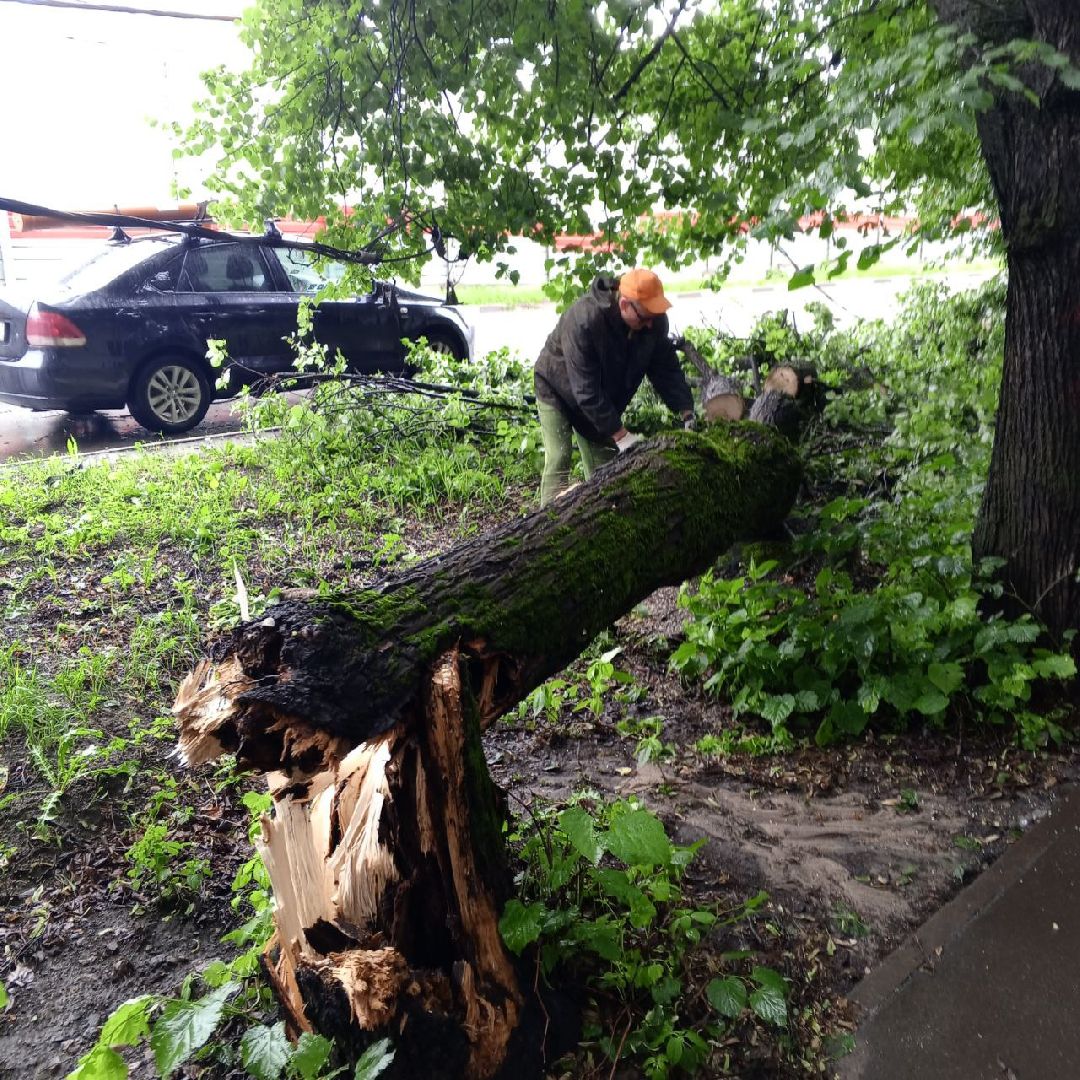 пушкино, ураган, последствия непогоды, последствия стихии, деревья,