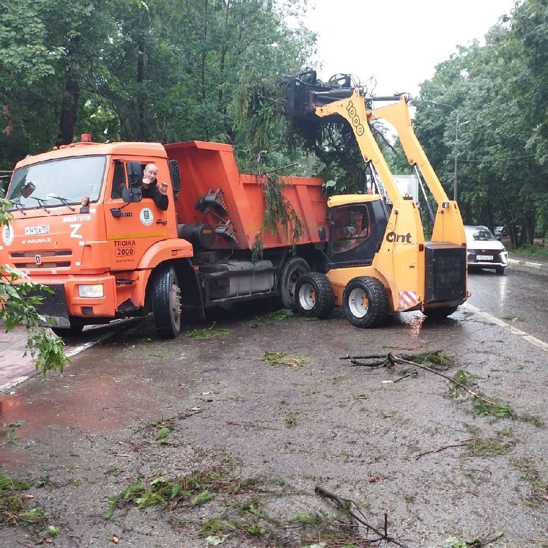 пушкино, ураган, последствия непогоды, последствия стихии, деревья,