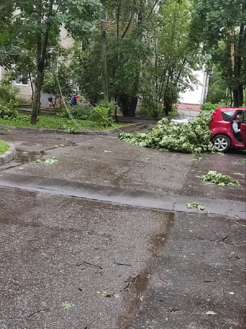 пушкино, ураган, последствия непогоды, последствия стихии, деревья,