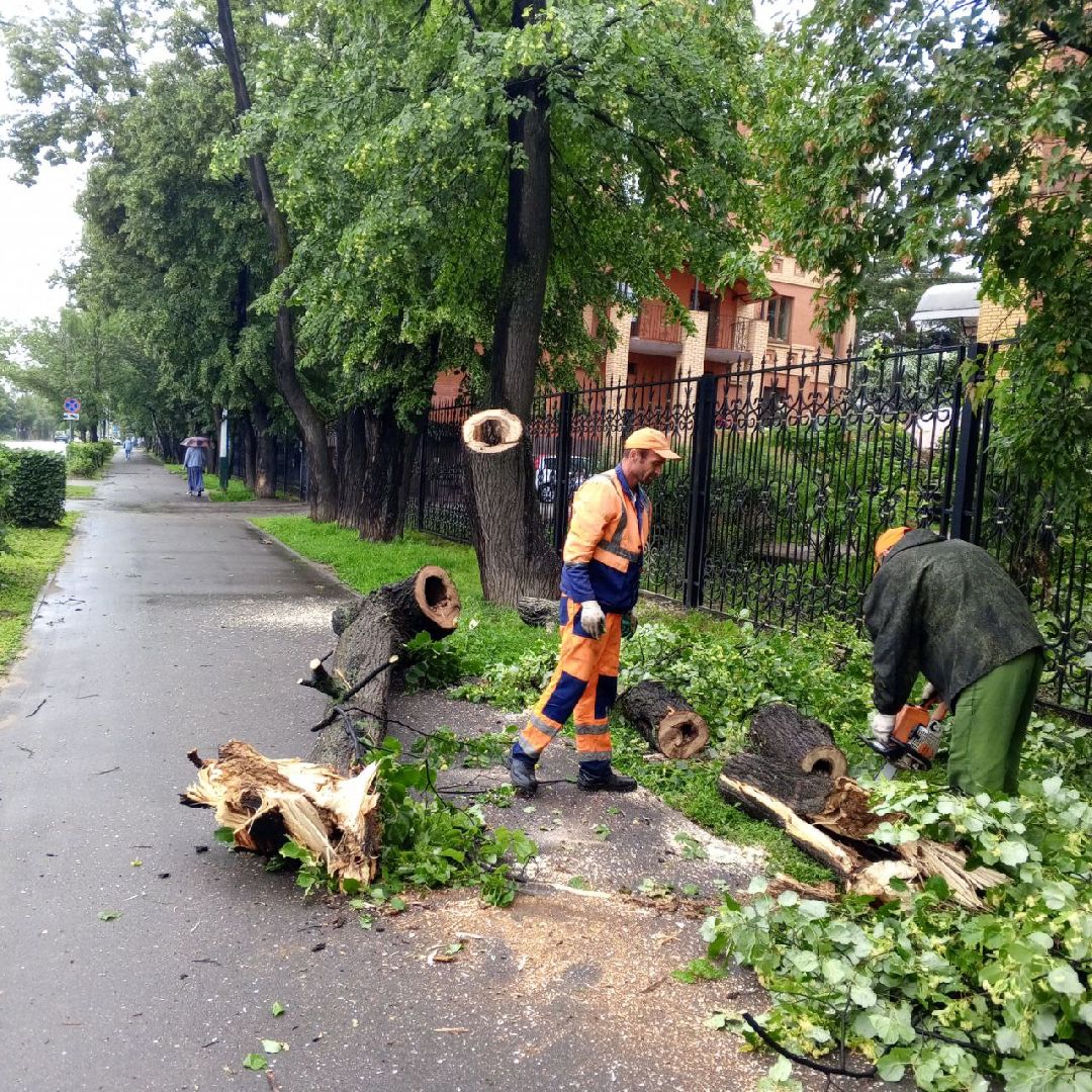 пушкино, ураган, последствия непогоды, последствия стихии, деревья,