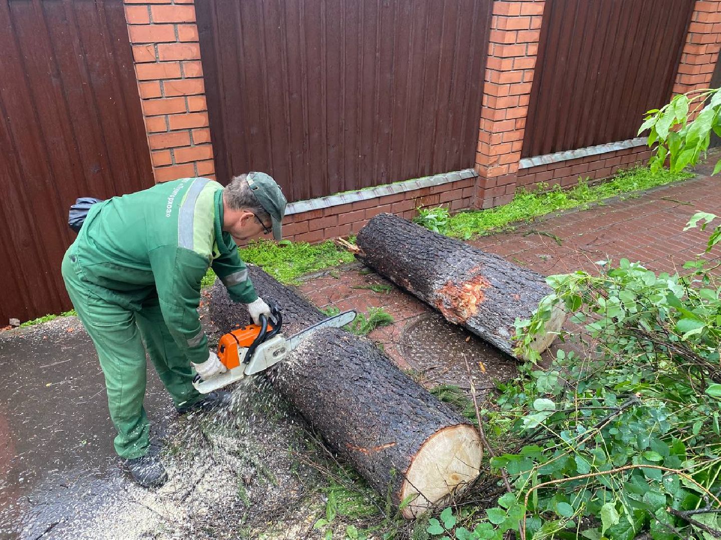 пушкино, ураган, последствия непогоды, последствия стихии, деревья,