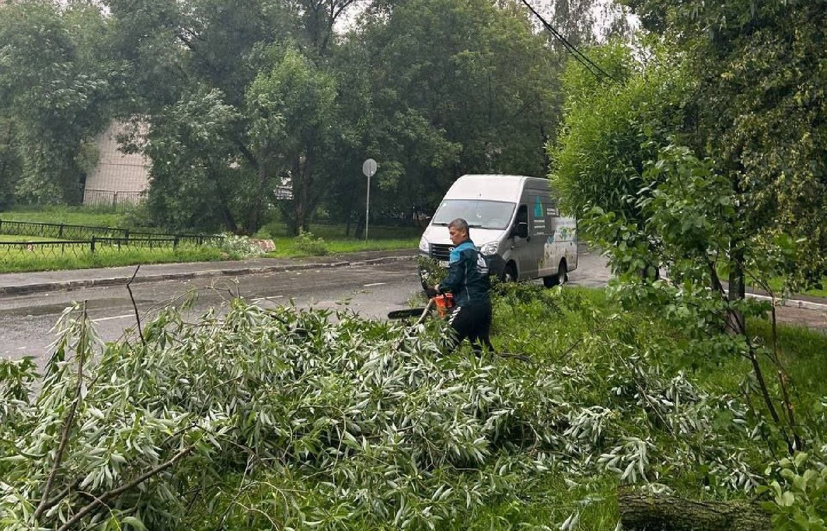 Реутов, непогода, ураган, дождь, деревья,