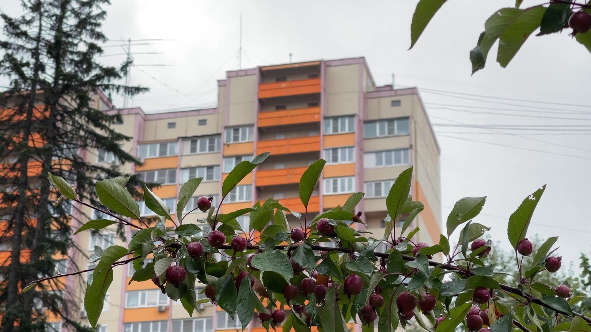 Реутов, непогода, ураган, дождь, деревья,