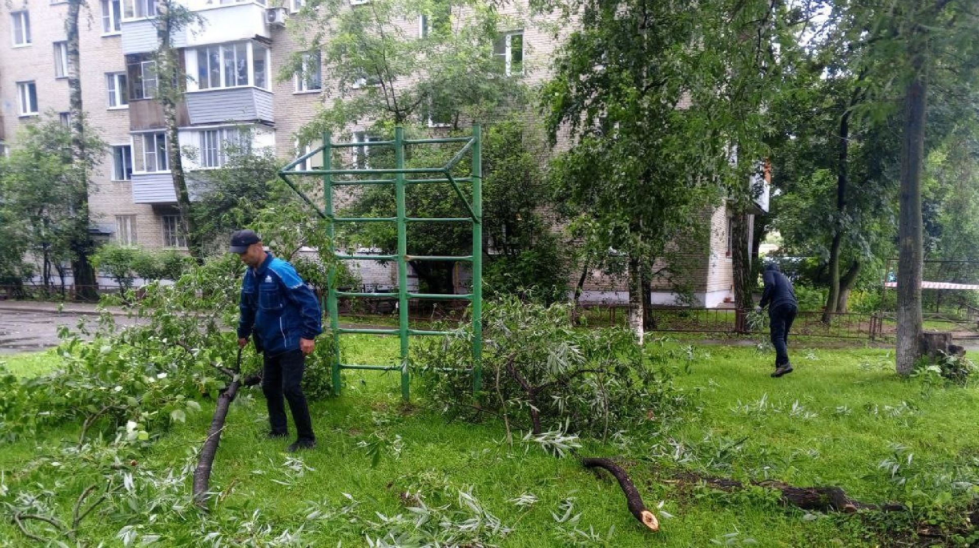 Реутов, непогода, ураган, дождь, деревья,