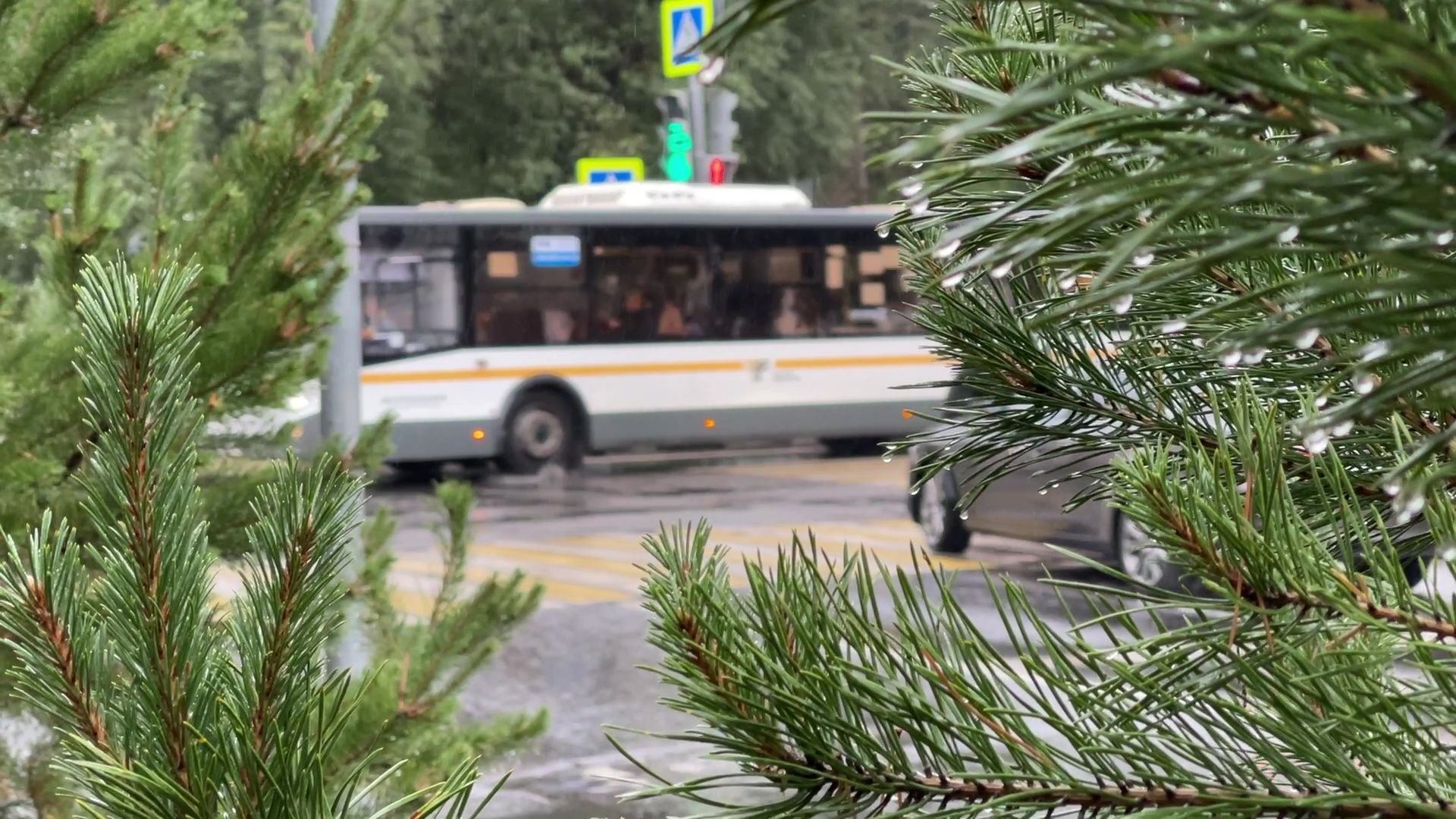 Реутов, непогода, ураган, дождь, деревья,