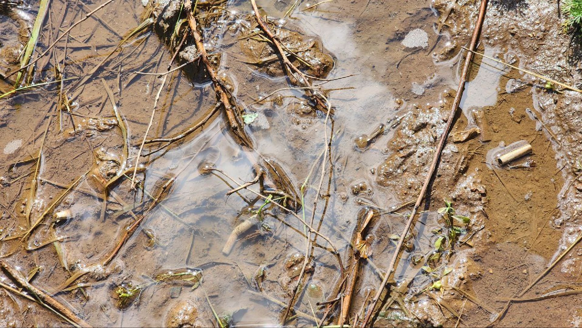 Реутов, непогода, ураган, дождь, деревья,