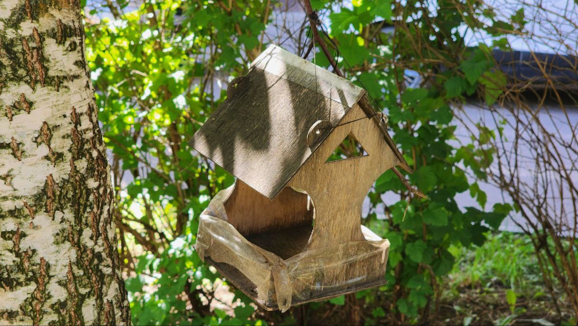 Реутов, непогода, ураган, дождь, деревья,