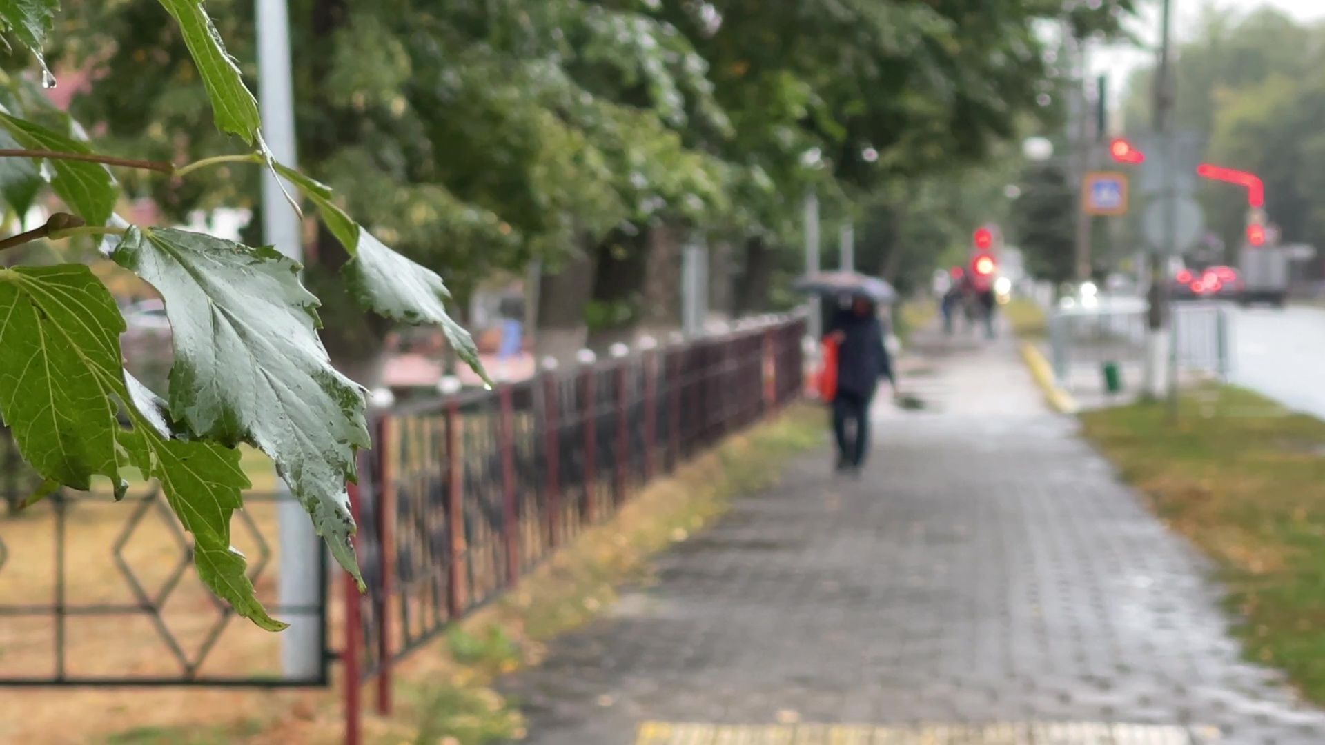 Реутов, непогода, ураган, дождь, деревья,