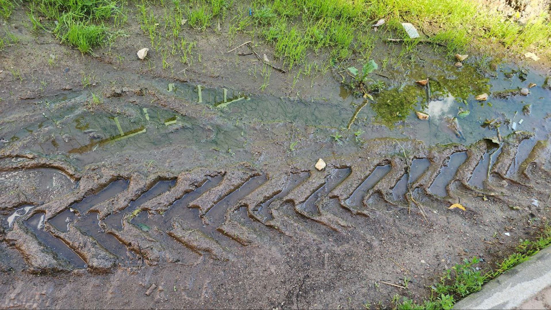 Реутов, непогода, ураган, дождь, деревья,